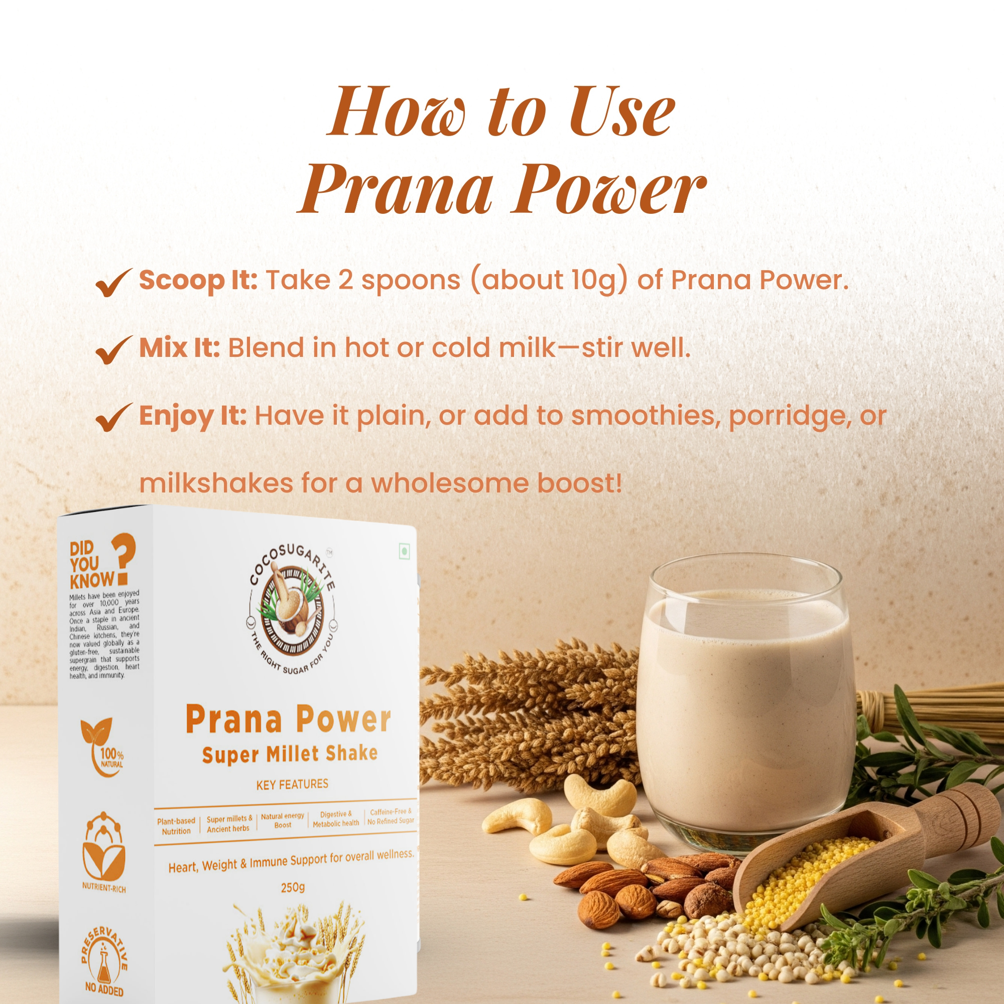 Prana Power-Millet Mix